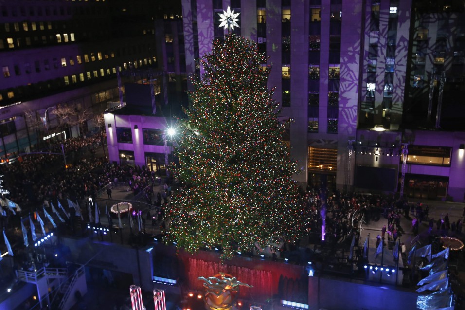 The 82nd Rockefeller Center Christmas tree is seen shortly after being lit at the annual ceremony at Rockefeller Center in midtown Manhattan in New York City