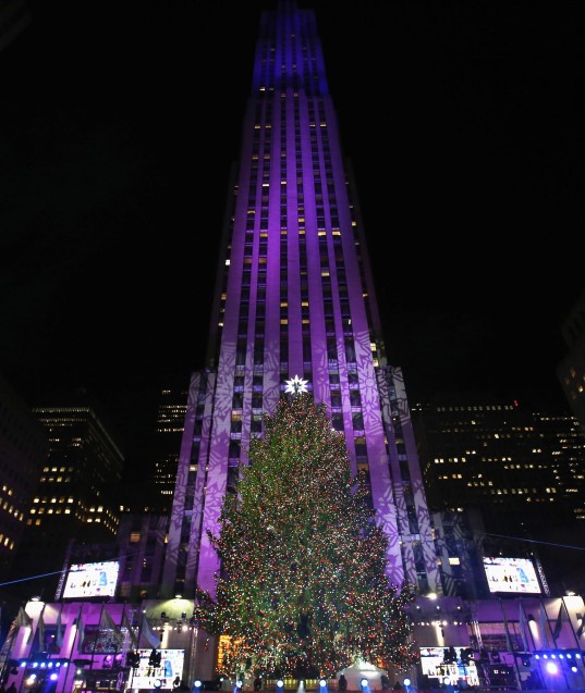 The 82nd Rockefeller Center Christmas tree is seen shortly after being lit at the annual ceremony at Rockefeller Center in midtown Manhattan in New York City