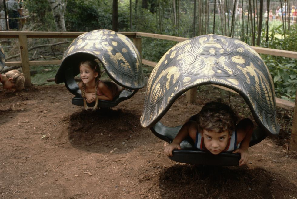 zoo del bronx