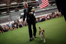 A Beagle runs with a handler during competition at the 141st Westminster Kennel Club Dog Show in New York