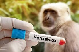 Las razones que explicarían la ‘desaparición’ de la viruela del mono