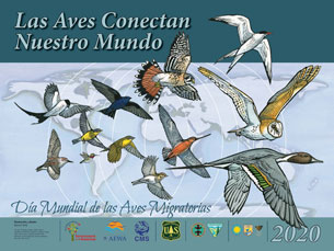 #9Mayo: Día Mundial de las Aves Migratorias