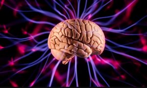 ¿Cuántas neuronas se nos mueren al día?