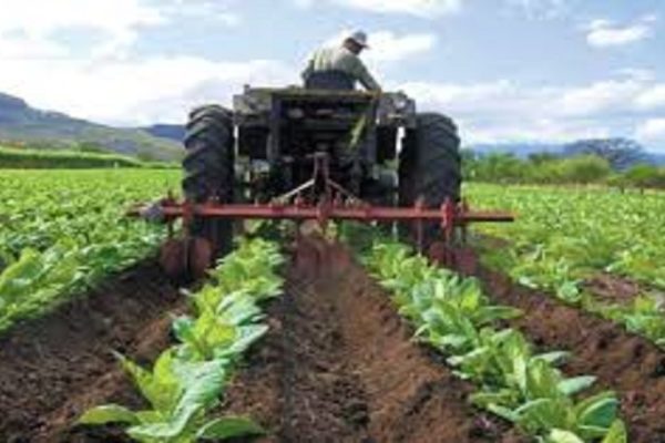 Fedeagro: Es necesario que haya seguros agrícolas, fondos de fomento y de estabilización de precios