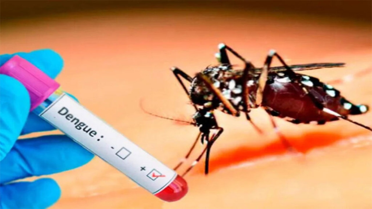 Solicitan control vectorial para prevenir la trasmisión del dengue