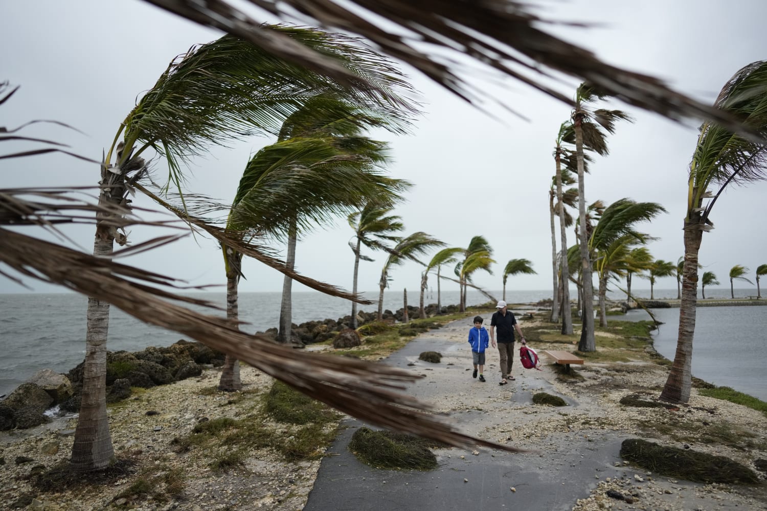Temporada de huracanes 2024 será fuerte por La Niña, pronostica la NOOA