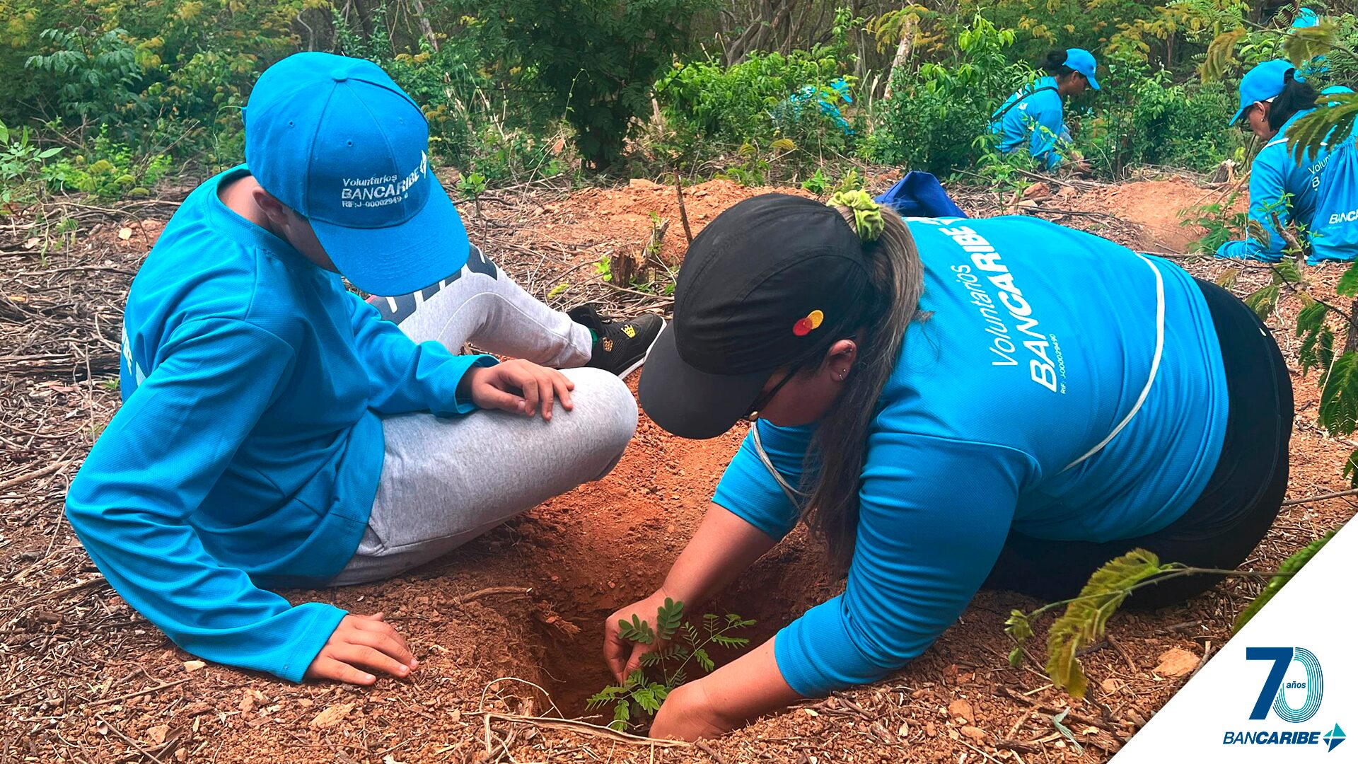 Voluntariado Bancaribe demuestra compromiso con el ambiente a través de una jornada de siembra en el Jardín Botánico de la UCV