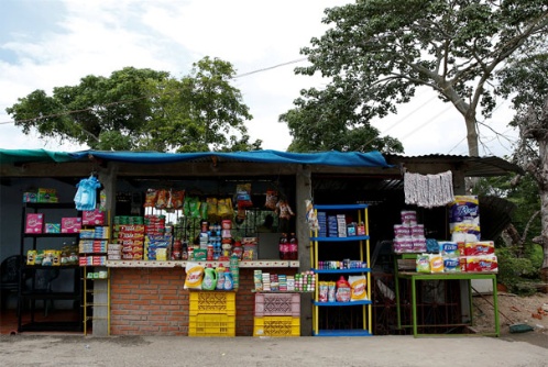 llevan5.jpg_735853306